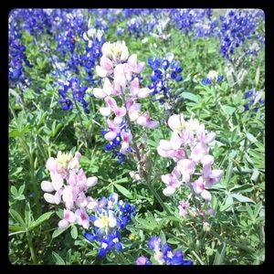 Meet your Posher, Jen